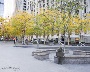 DSCN0720_AW_WM_w